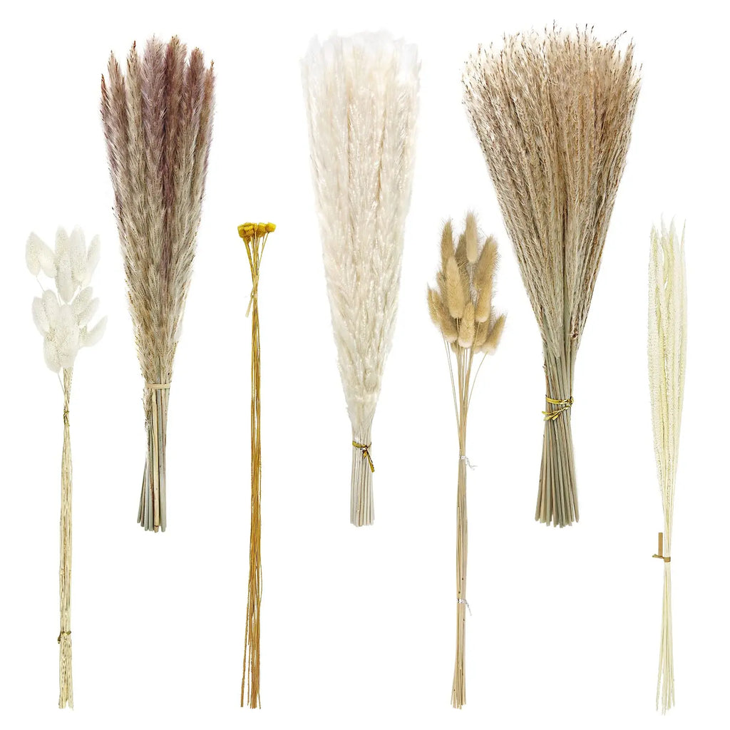 Natural Dried Pampas Reeds Bouquet — Boho Wedding & Home Decor