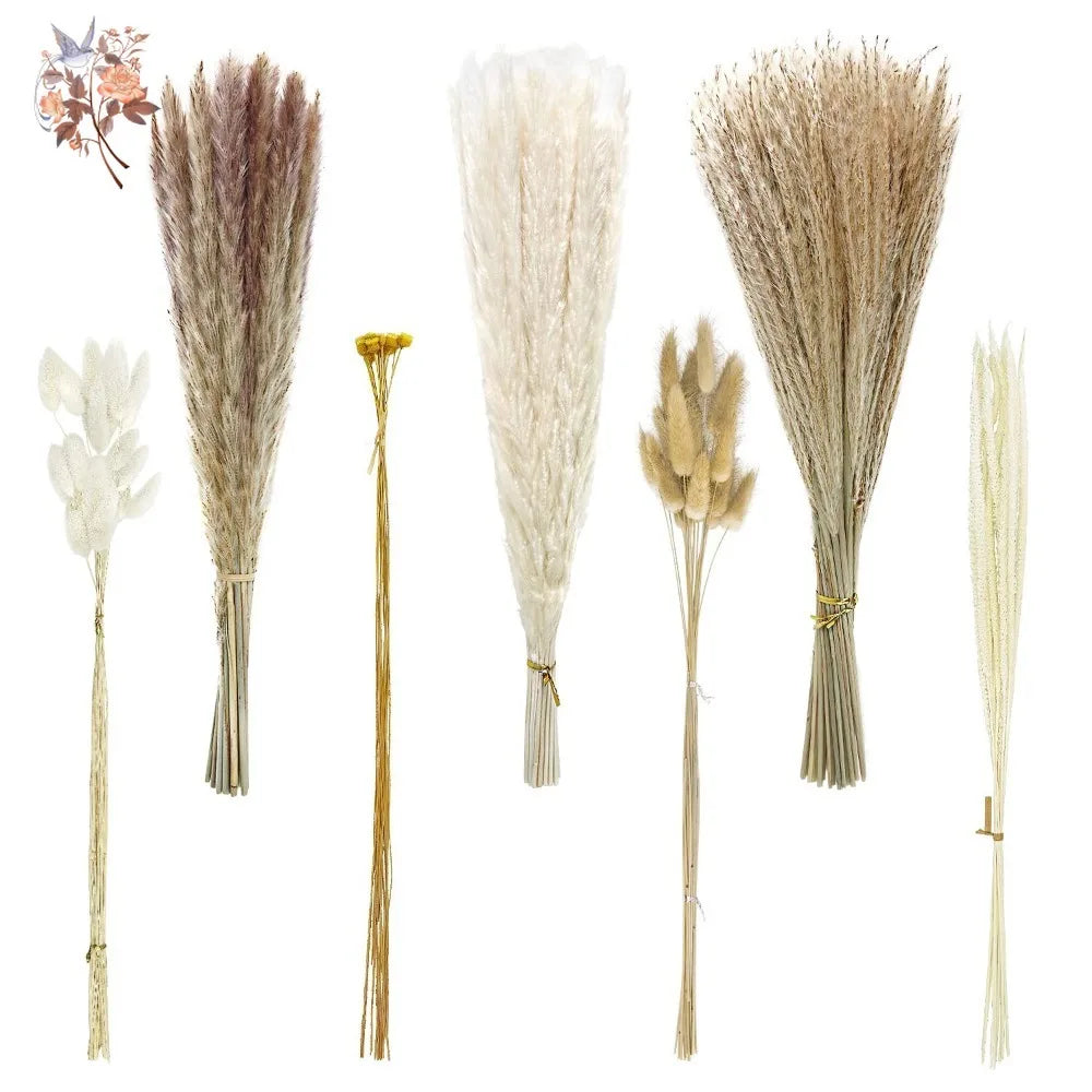 Natural Dried Pampas Reeds Bouquet — Boho Wedding & Home Decor