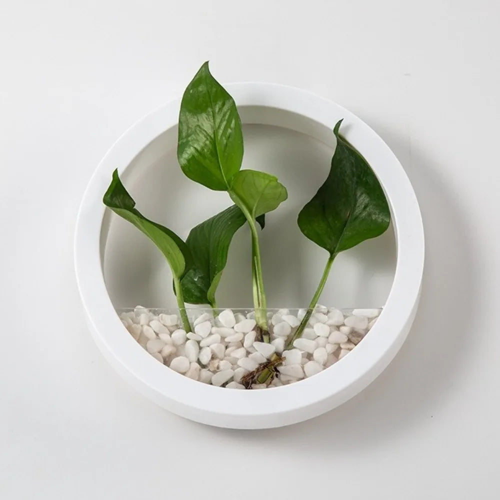Round Wall-Mounted Hanging Planter — Drill-Free, 7.8in