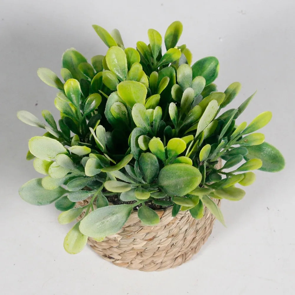 Green Artificial Potted Plant 11cm Woven Artificial Plants Plastic Leaf Eucalyptus Grass Artificial Decorations Home Decor — image 15