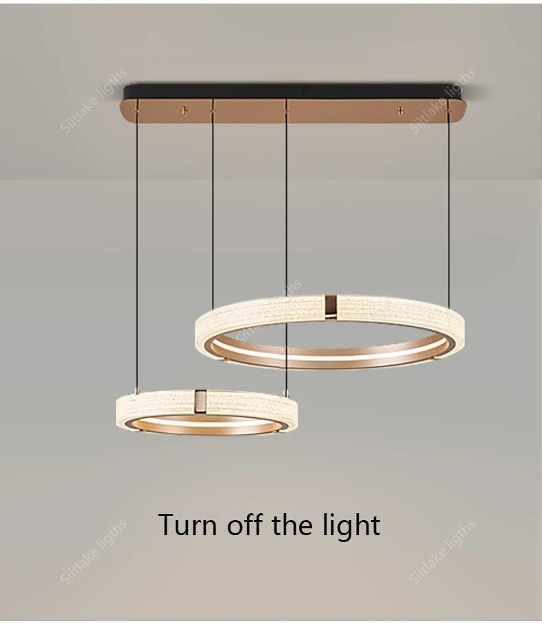 Modern Round Ring Chandelier — Aluminum & Acrylic Ceiling Light