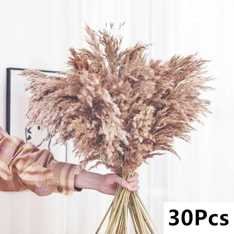 Dried Pampas & Reed Mix Bundle — 30-Piece