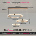 Modern Round Ring Chandelier — Aluminum & Acrylic Ceiling Light