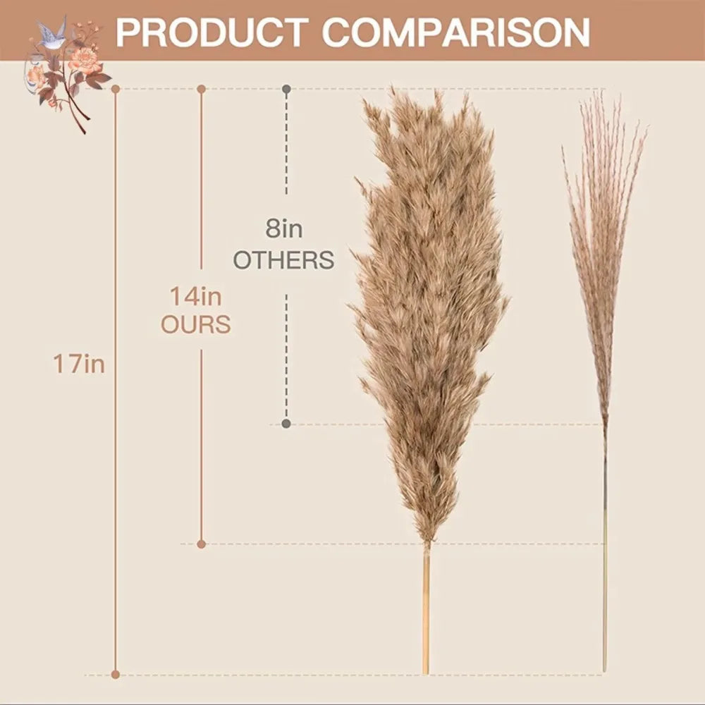 Dried Pampas & Reed Mix Bundle — 30-Piece