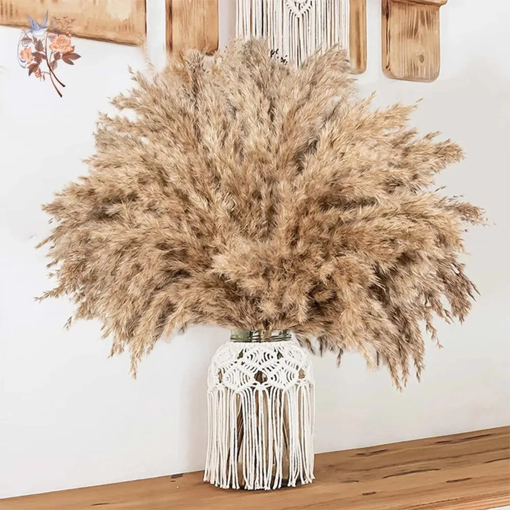 Dried Pampas & Reed Mix Bundle — 30-Piece