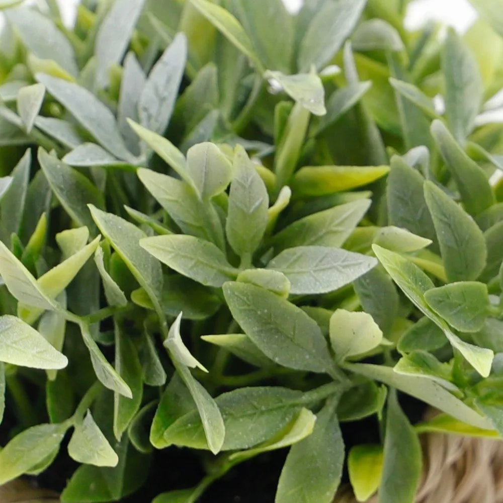 Green Artificial Potted Plant 11cm Woven Artificial Plants Plastic Leaf Eucalyptus Grass Artificial Decorations Home Decor — image 11