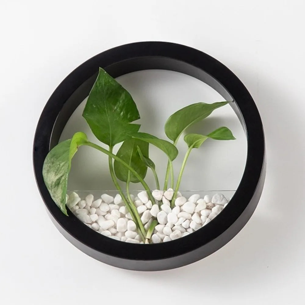 Round Wall-Mounted Hanging Planter — Drill-Free, 7.8in