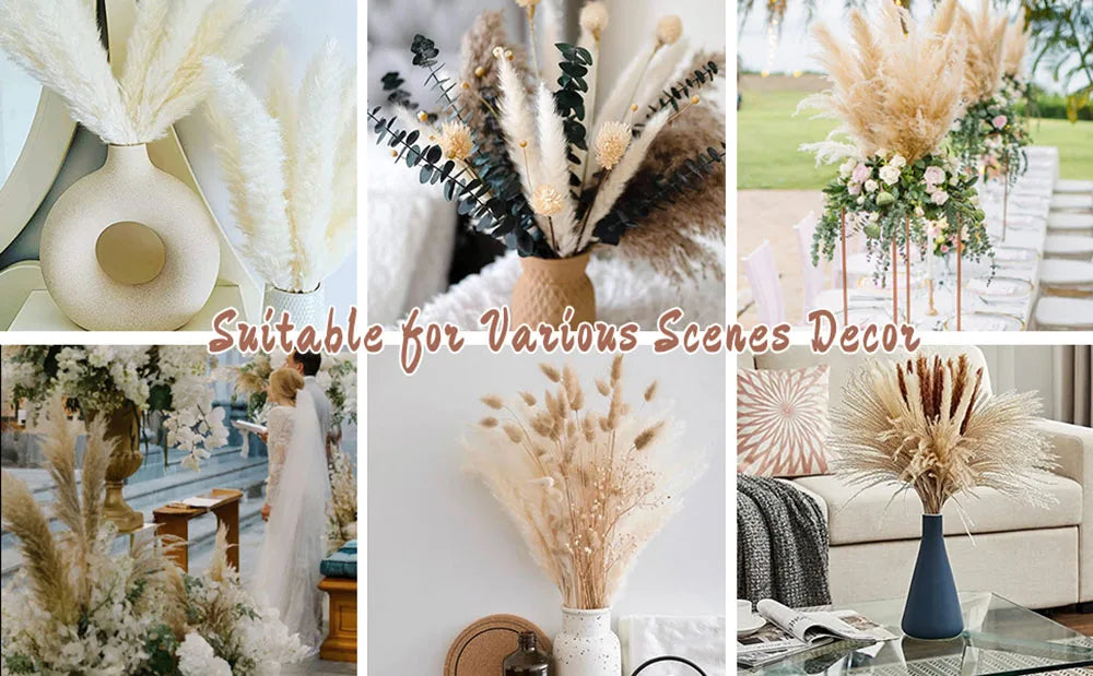 Autumn Pampas & Bunny Tails Dried Bouquet — Boho Vase Filler