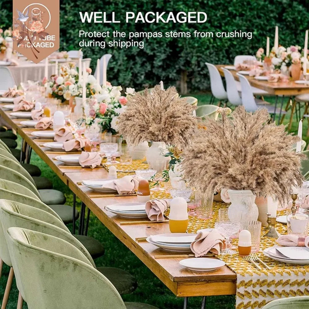 Dried Pampas & Reed Mix Bundle — 30-Piece