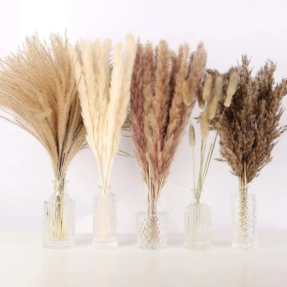 Dried Pampas & Reed Mix Bundle — 30-Piece
