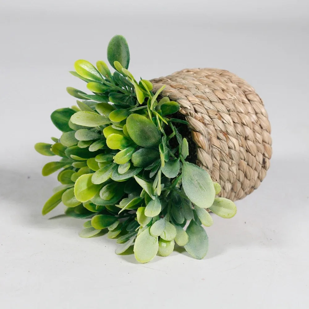 Green Artificial Potted Plant 11cm Woven Artificial Plants Plastic Leaf Eucalyptus Grass Artificial Decorations Home Decor — image 10
