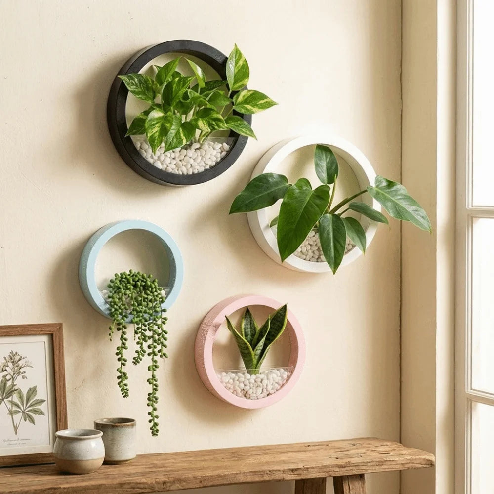 Round Wall-Mounted Hanging Planter — Drill-Free, 7.8in