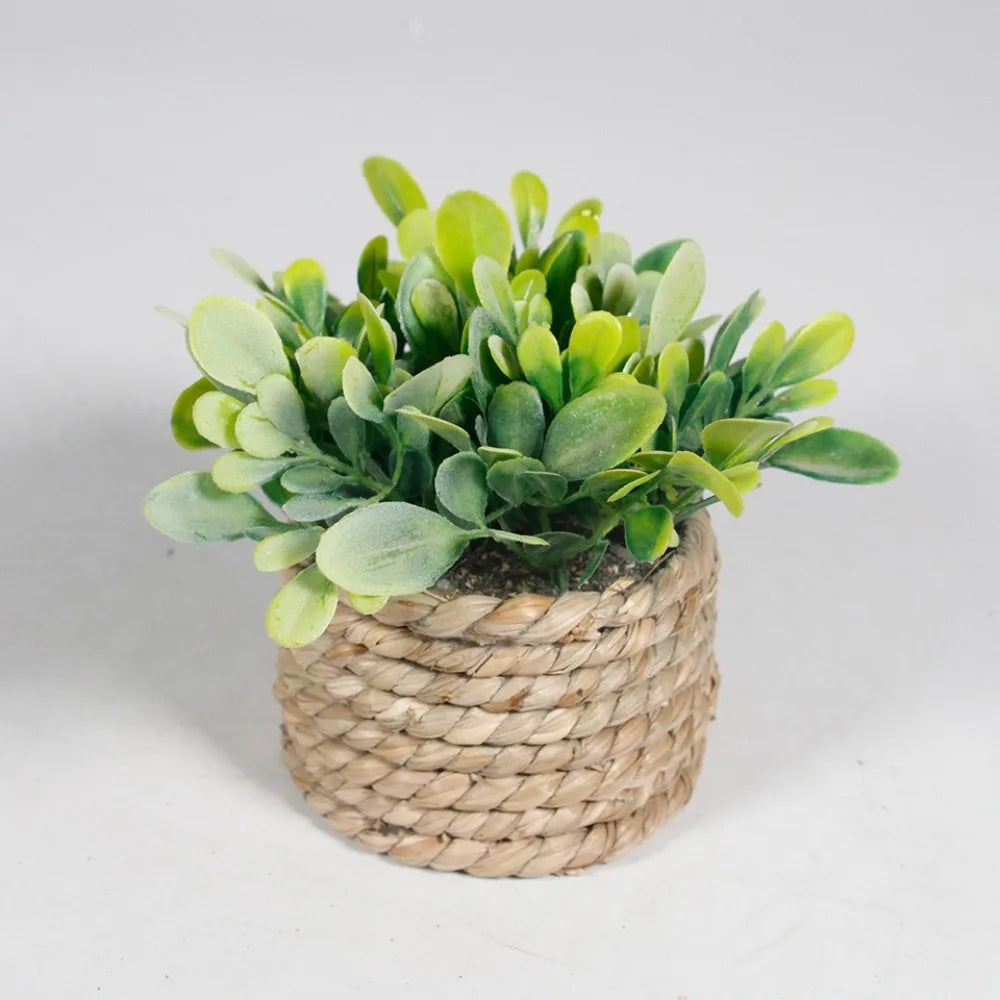 Green Artificial Potted Plant 11cm Woven Artificial Plants Plastic Leaf Eucalyptus Grass Artificial Decorations Home Decor — room setting