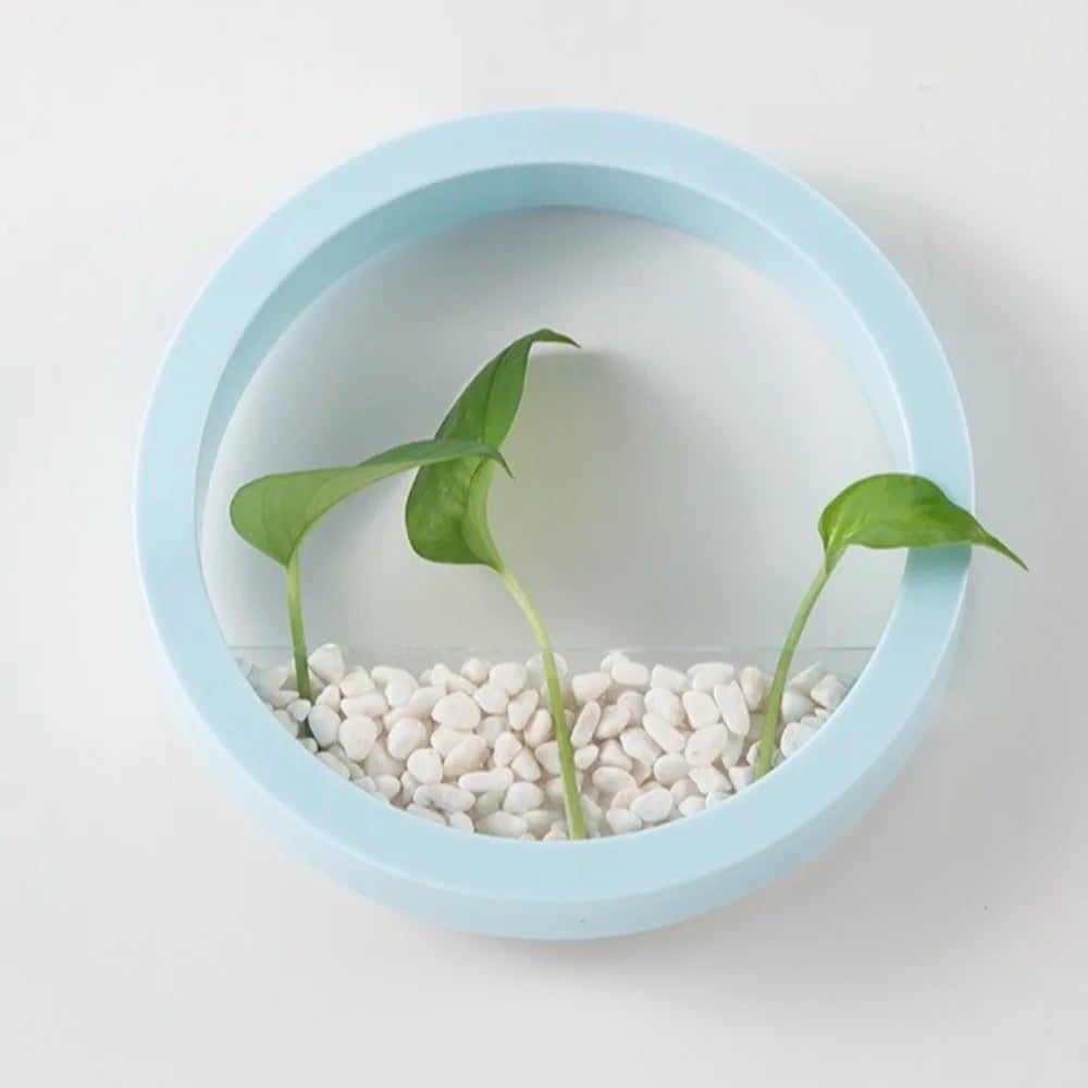 Round Wall-Mounted Hanging Planter — Drill-Free, 7.8in
