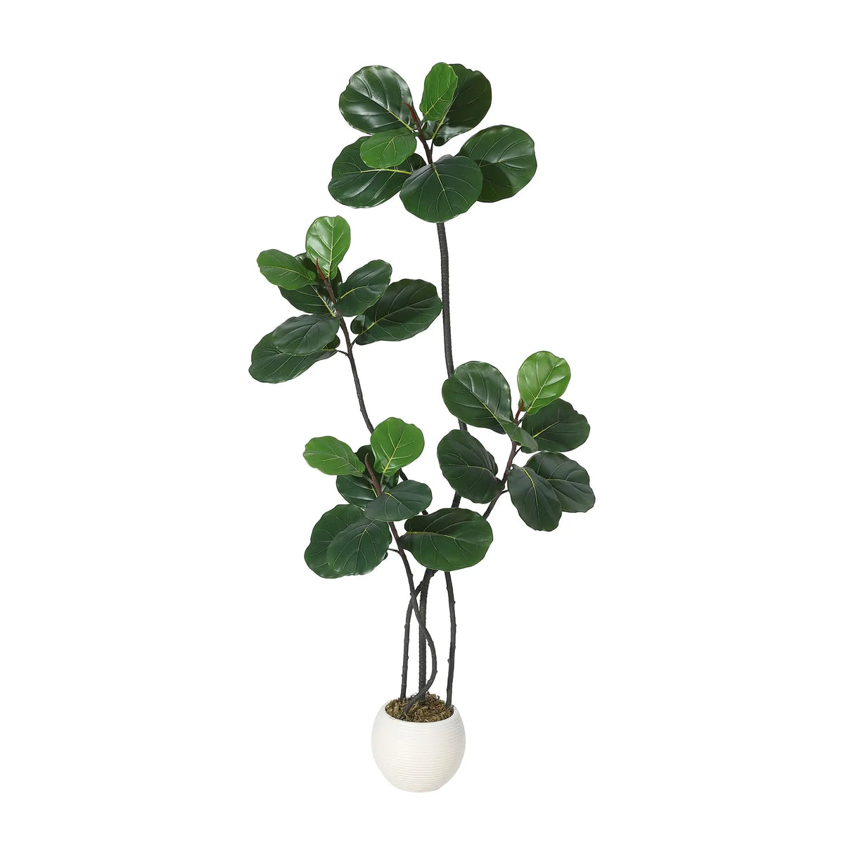 GarveeLife Artificial Ficus Lyrata — White Pot, S-Shape Trunk