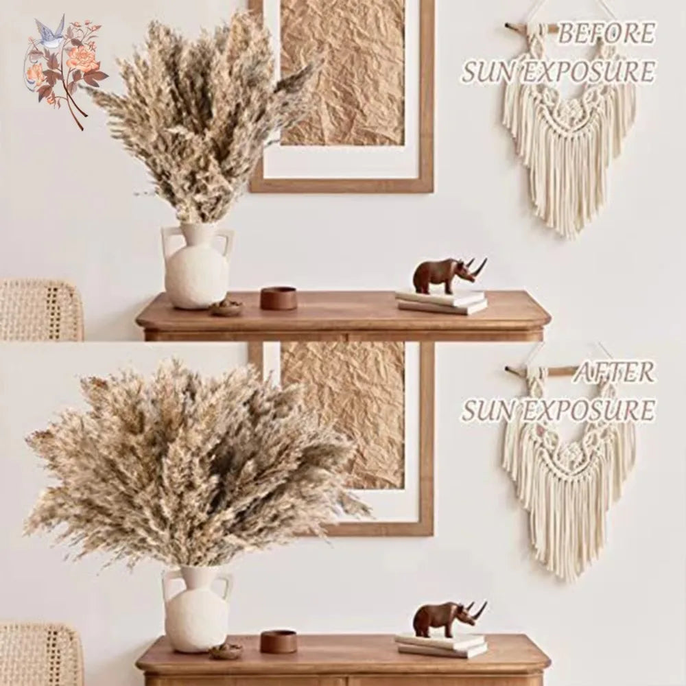 Dried Pampas & Reed Mix Bundle — 30-Piece