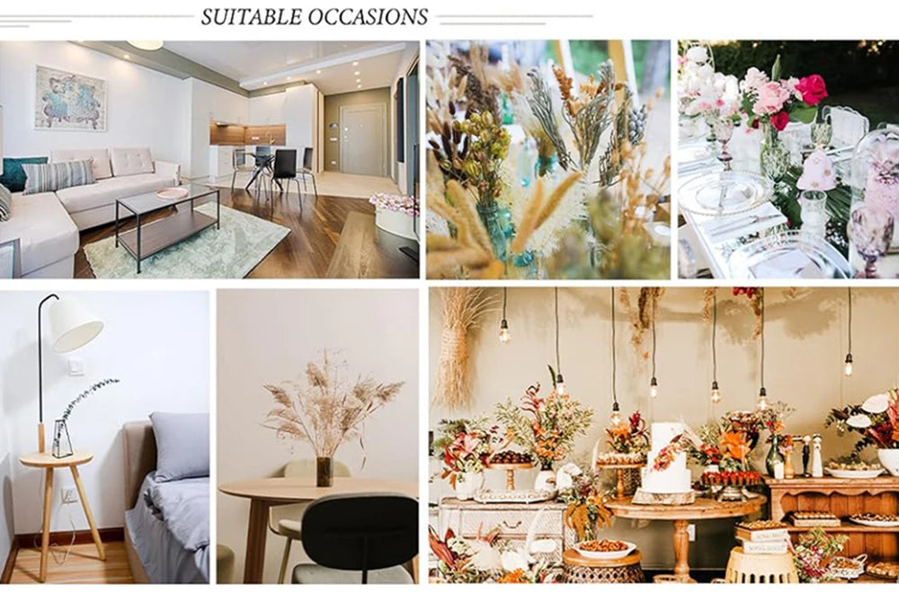 Natural Dried Pampas Reeds Bouquet — Boho Wedding & Home Decor