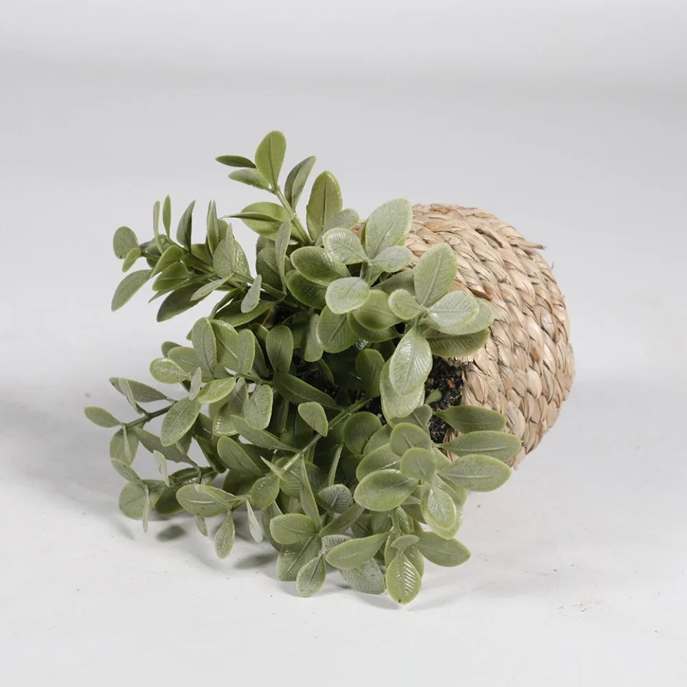 Green Artificial Potted Plant 11cm Woven Artificial Plants Plastic Leaf Eucalyptus Grass Artificial Decorations Home Decor — image 9