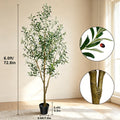 Olive Trees Artificial Indoor, 5.25/6.10/7.10FT Tall Faux Olive Tree with Black Pot, Artificial Plants with Natural Wood Trunk and Lifelike Fruits for Home Office Decor — image 14